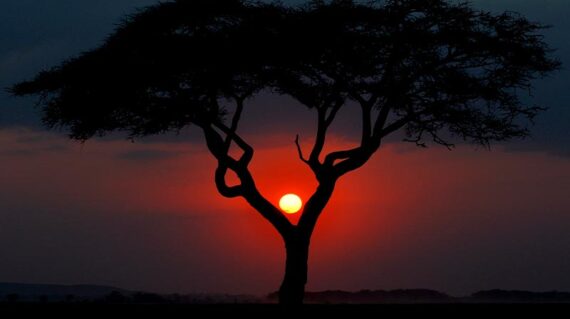 Kenya Puesta del Sol