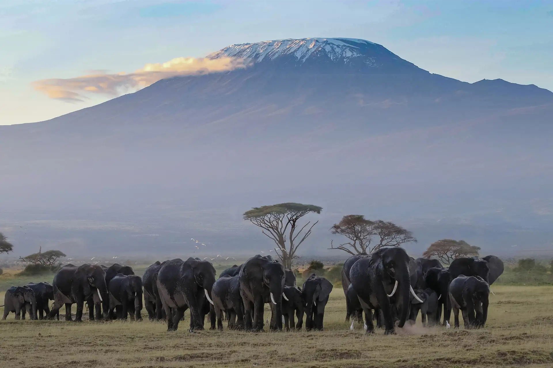 Kilimanjaro en camion