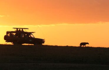 Safari en Kenia