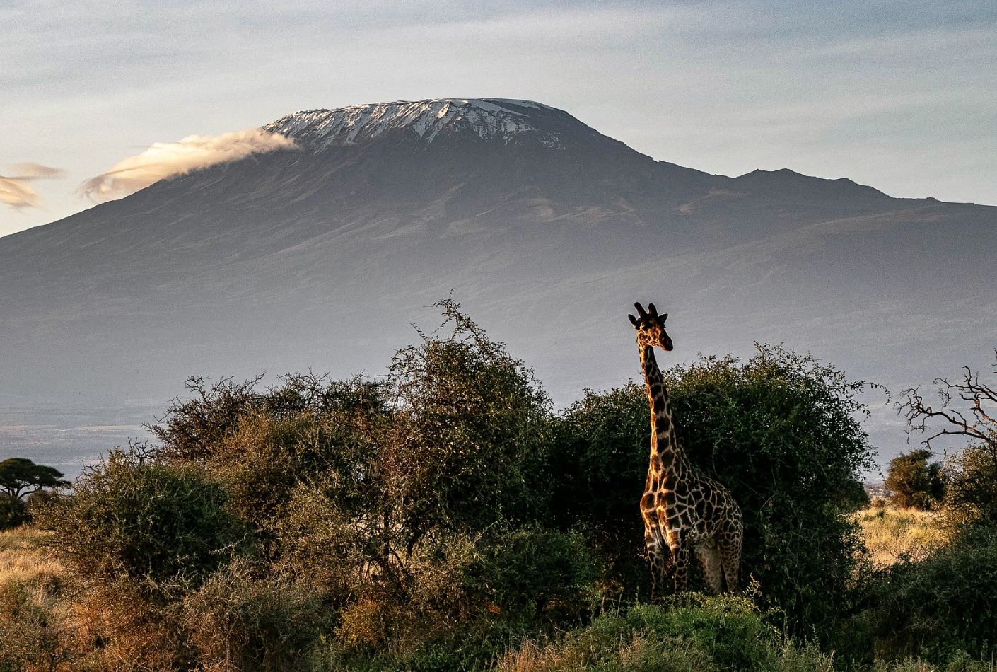 Vistas del Kilimanjaro, Tanzania
