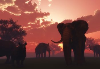 África: animales en peligro de extinción
