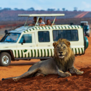 Kenia Safari Leon