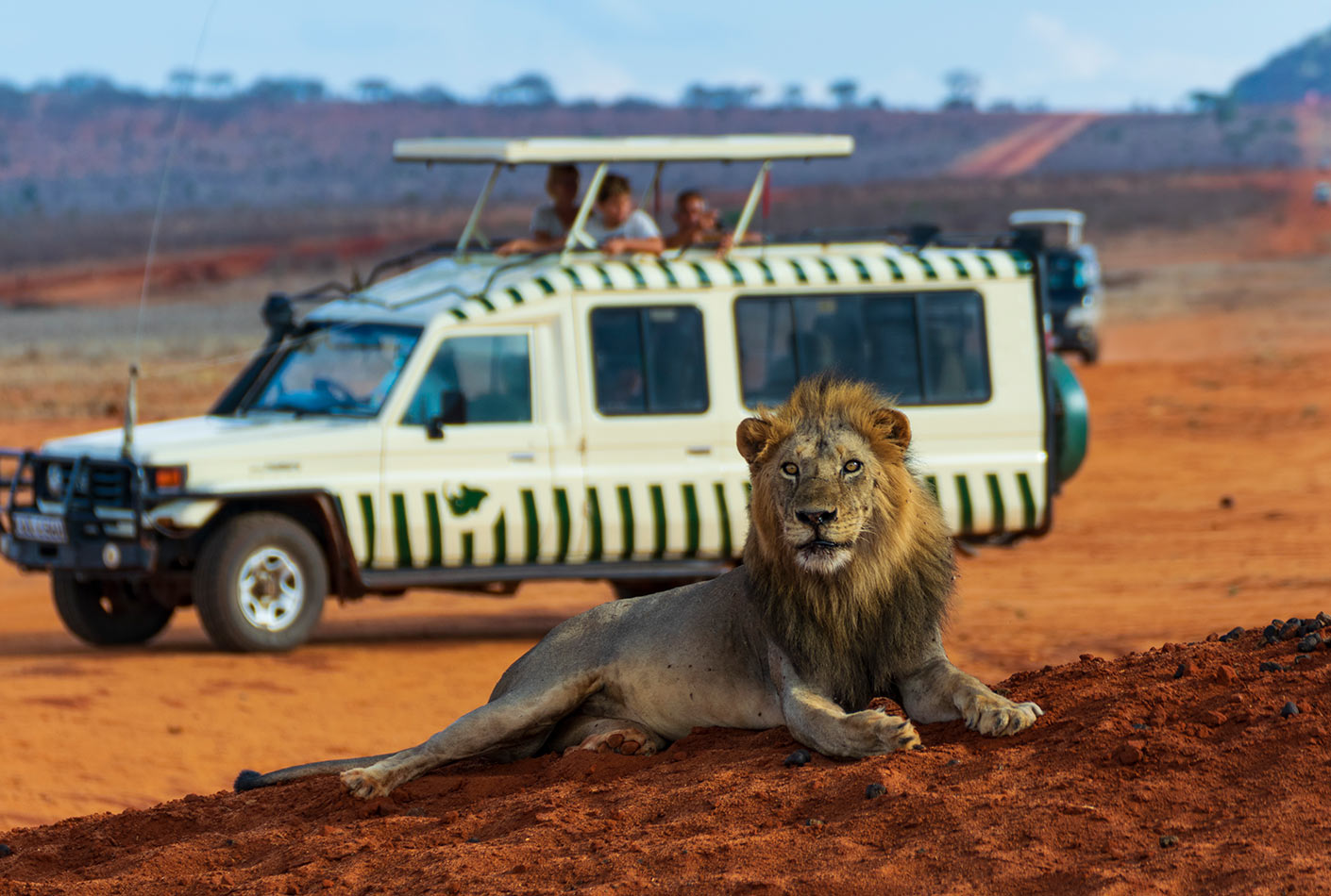 Kenia Safari Leon