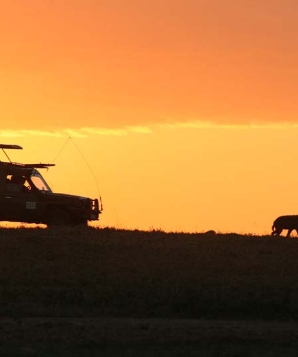 Safari en Kenia