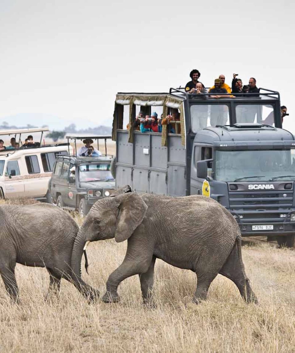 Camion de Safari