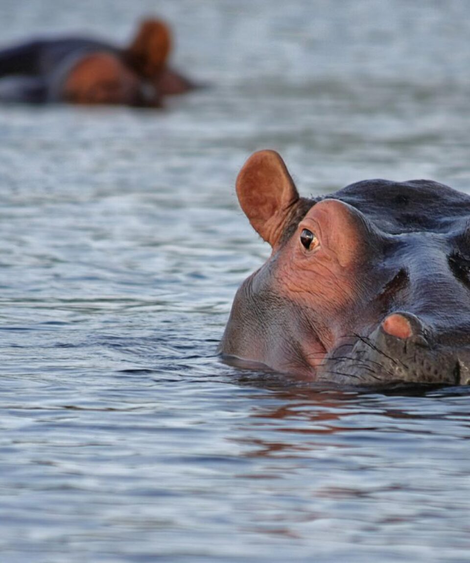 Botswana